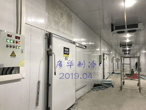 庫華制冷工程案例分享 奶茶 五期 大型食品冷庫設(shè)計安裝