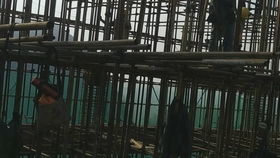 建筑土建安裝工程現(xiàn)場(chǎng)施工工序 竹棚架搭設(shè)